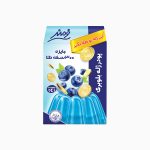 پودر ژله بلوبری فرمند