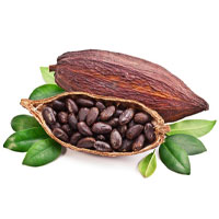 دانه کاکائو