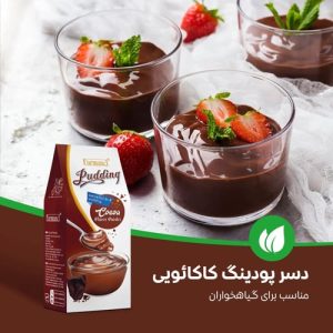 دسر پودینگ کاکائویی فرمند - مناسب برای گیاهخواران و وگان ها