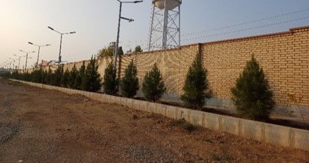 مشارکت همگانی، توسعه سبز لبخند زمین